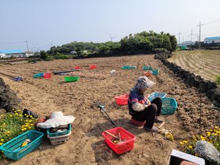 한경훈님의 기타작물 · 영농일지 작성글 사진