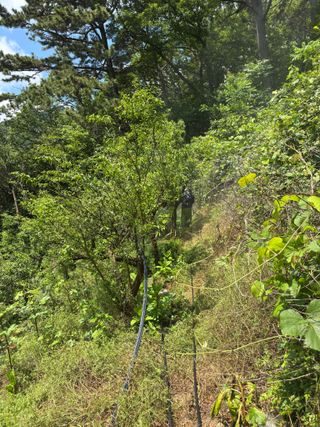 백민곤님의 기타작물 · 영농일지 작성글 사진