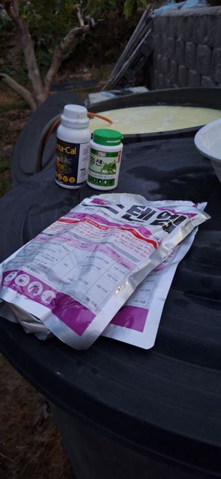 김형환 님의 감 · 영농일지 작성글 사진