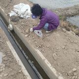 팜모닝 벼·영농일지 게시글 이미지