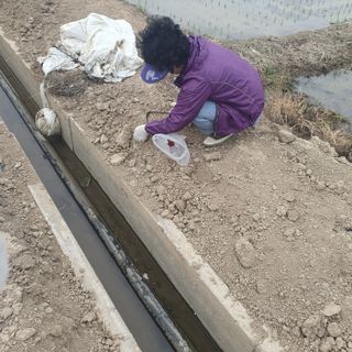 김광신님의 벼 · 영농일지 작성글 사진