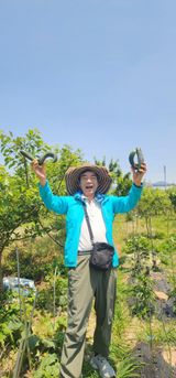 팜모닝 상추·영농일지 게시글 이미지