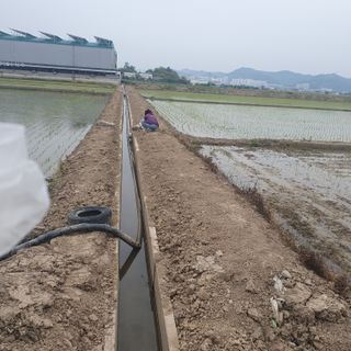 김광신님의 벼 · 영농일지 작성글 사진