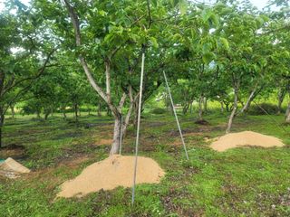 귤9669님의 벼 · 영농일지 작성글 사진