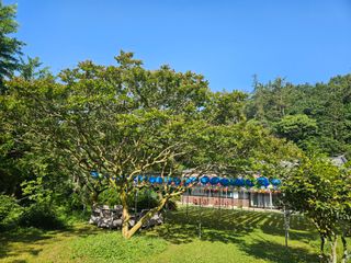 보리수치유농장님의 감자 · 영농일지 작성글 사진