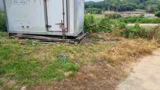 정승조님의 기타작물 · 영농일지 작성글 사진