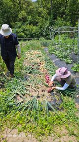 팜모닝 기타작물·영농일지 게시글 이미지