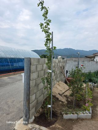 나선기님의 기타작물 · 영농일지 작성글 사진