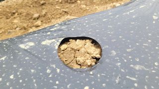 여우내 이순홍님의 기타작물 · 영농일지 작성글 사진