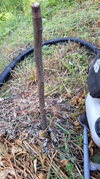 조연만님의 기타작물 · 영농일지 작성글 사진