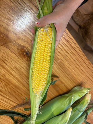 강선미님의 기타작물 · 영농일지 작성글 사진