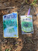 팜모닝 기타작물·영농일지 게시글 이미지