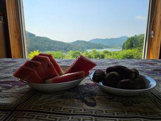 보리수치유농장님의 감자 · 영농일지 작성글 사진