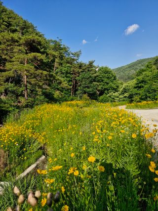 낙엽교목류21691님의 기타작물 · 영농일지 작성글 사진