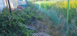 박상중님의 포도 · 영농일지 작성글 사진