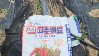 김영길님의 기타작물 · 영농일지 작성글 사진