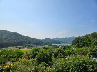 보리수치유농장님의 감자 · 영농일지 작성글 사진