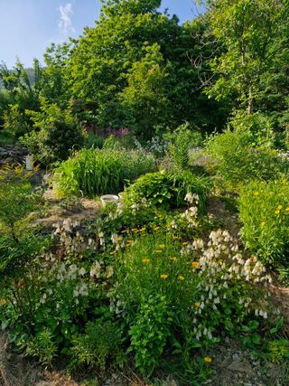 낙엽교목류21691님의 기타작물 · 영농일지 작성글 사진