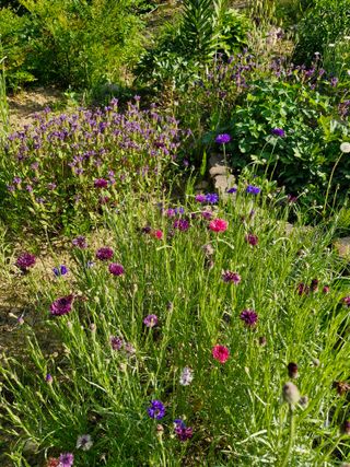 낙엽교목류21691님의 기타작물 · 영농일지 작성글 사진