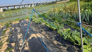 박해용(세건농장)님의 기타작물 · 영농일지 작성글 사진