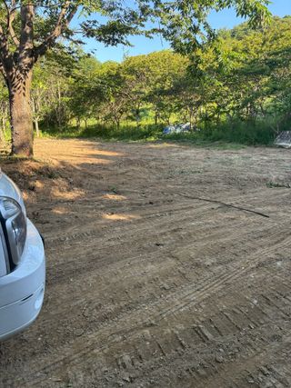 유미경님의 기타작물 · 영농일지 작성글 사진