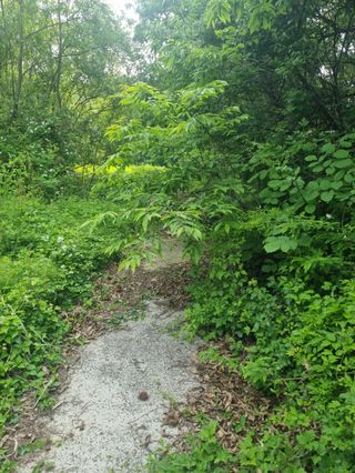 유미경님의 기타작물 · 영농일지 작성글 사진