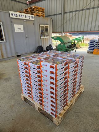 두릅나무9110님의 자두 · 영농일지 작성글 사진