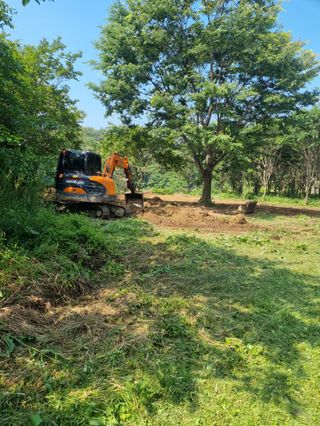 유미경님의 기타작물 · 영농일지 작성글 사진