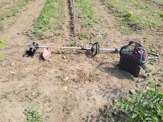 김홍중님의 두릅 · 영농일지 작성글 사진