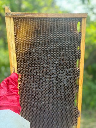 유미경님의 기타작물 · 영농일지 작성글 사진