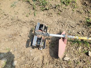 김홍중님의 두릅 · 영농일지 작성글 사진