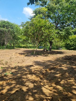 유미경님의 기타작물 · 영농일지 작성글 사진