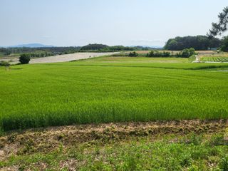 최상희님의 기타작물 · 영농일지 작성글 사진