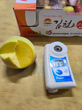 두릅나무9110님의 자두 · 영농일지 작성글 사진