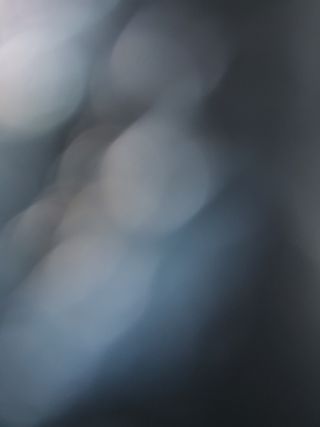 장거장님의 기타작물 · 영농일지 작성글 사진