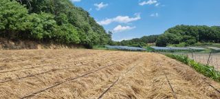 박사원농장님의 기타작물 · 영농일지 작성글 사진