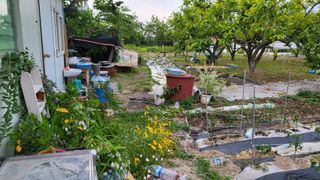 괴동조합장님의 파 · 영농일지 작성글 사진