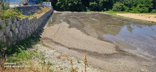 초보농부님의 벼 · 영농일지 작성글 사진