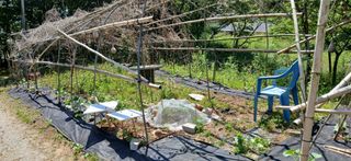 우철님의 기타작물 · 영농일지 작성글 사진