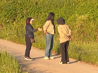 오작교농장님의 벼 · 영농일지 작성글 사진