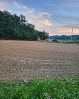 팜모닝 벼·영농일지 게시글 이미지