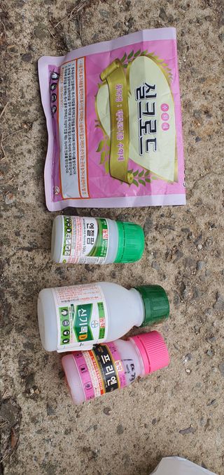 경북문경 이종혁님의 고추 · 영농일지 작성글 사진