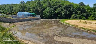 초보농부님의 벼 · 영농일지 작성글 사진