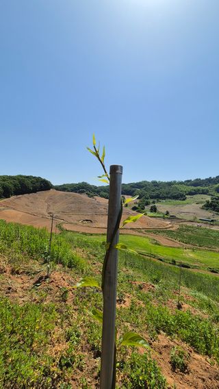 김현민님의 기타작물 · 영농일지 작성글 사진