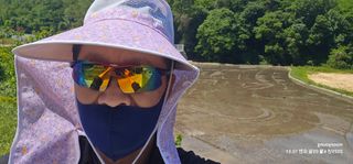 초보농부님의 벼 · 영농일지 작성글 사진