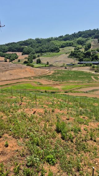 김현민님의 기타작물 · 영농일지 작성글 사진