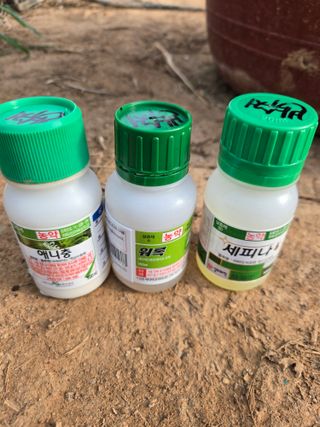 김진수님의 기타작물 · 영농일지 작성글 사진