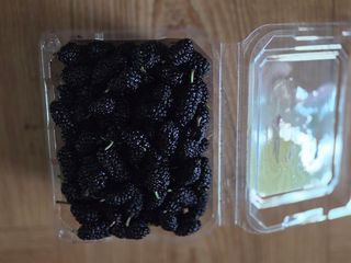 권ㅇㅎ님의 매실 · 영농일지 작성글 사진