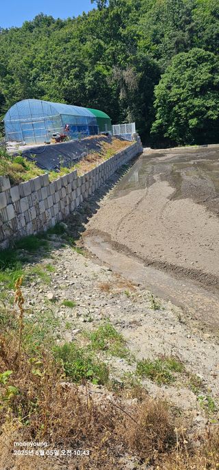 초보농부님의 벼 · 영농일지 작성글 사진