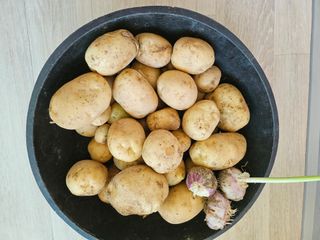 유명숙님의 옥수수 · 영농일지 작성글 사진